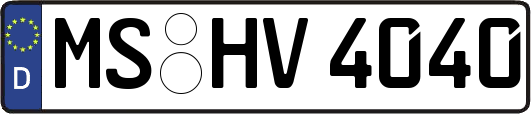 MS-HV4040