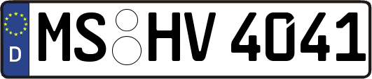MS-HV4041