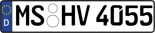 MS-HV4055