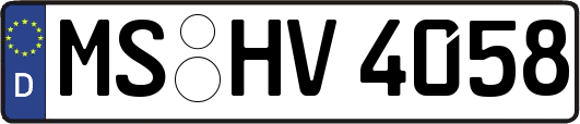 MS-HV4058