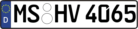 MS-HV4065