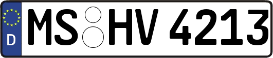 MS-HV4213