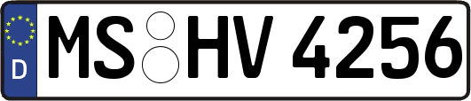 MS-HV4256