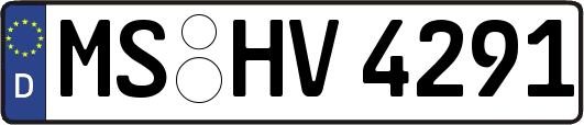MS-HV4291