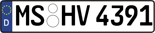 MS-HV4391