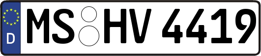 MS-HV4419