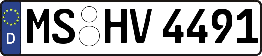MS-HV4491
