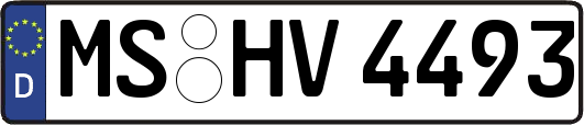 MS-HV4493