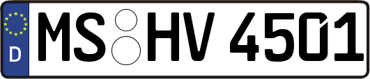 MS-HV4501