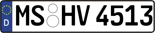 MS-HV4513