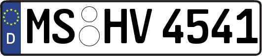 MS-HV4541