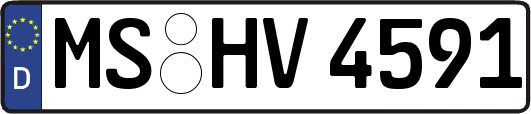 MS-HV4591