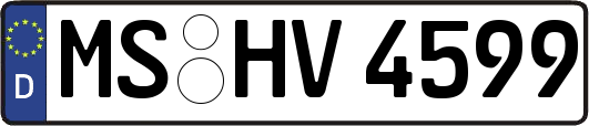 MS-HV4599