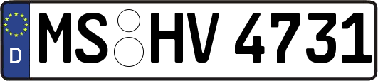 MS-HV4731
