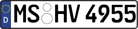 MS-HV4955