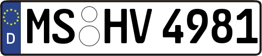MS-HV4981