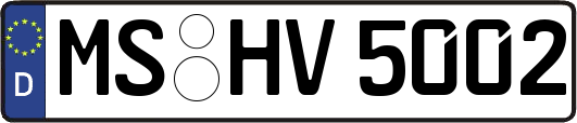MS-HV5002
