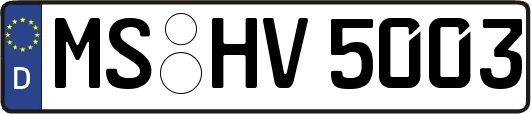MS-HV5003