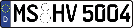 MS-HV5004