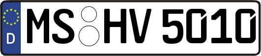 MS-HV5010