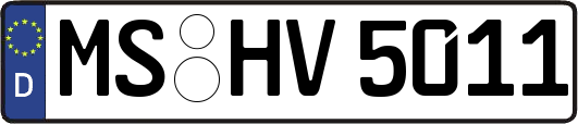 MS-HV5011