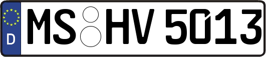 MS-HV5013