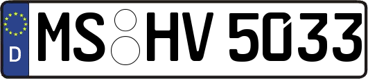 MS-HV5033