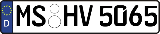 MS-HV5065