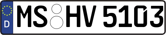 MS-HV5103