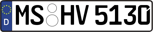 MS-HV5130
