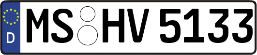 MS-HV5133