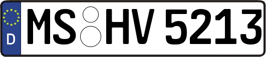 MS-HV5213