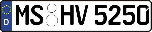 MS-HV5250