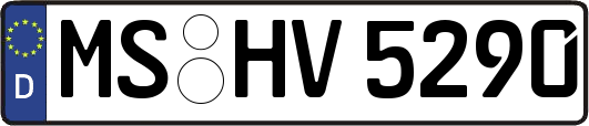 MS-HV5290