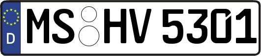 MS-HV5301