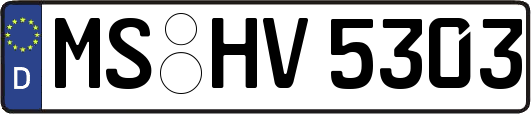 MS-HV5303