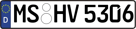 MS-HV5306