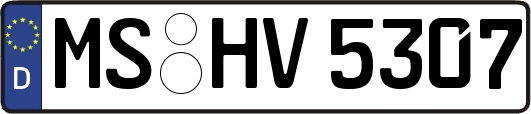 MS-HV5307