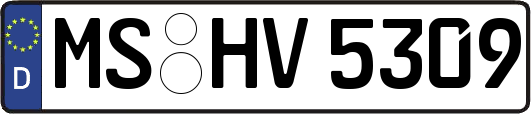 MS-HV5309