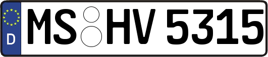 MS-HV5315