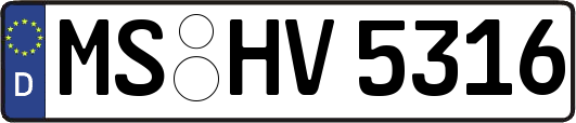 MS-HV5316