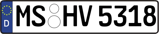 MS-HV5318