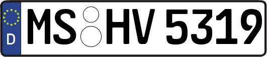 MS-HV5319