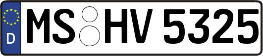 MS-HV5325