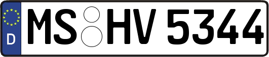 MS-HV5344