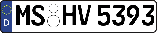 MS-HV5393