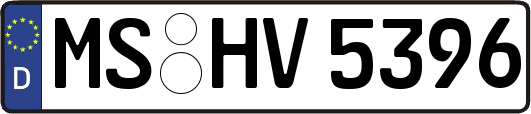 MS-HV5396
