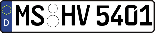 MS-HV5401