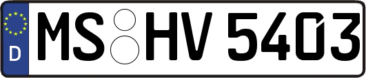 MS-HV5403