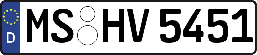 MS-HV5451